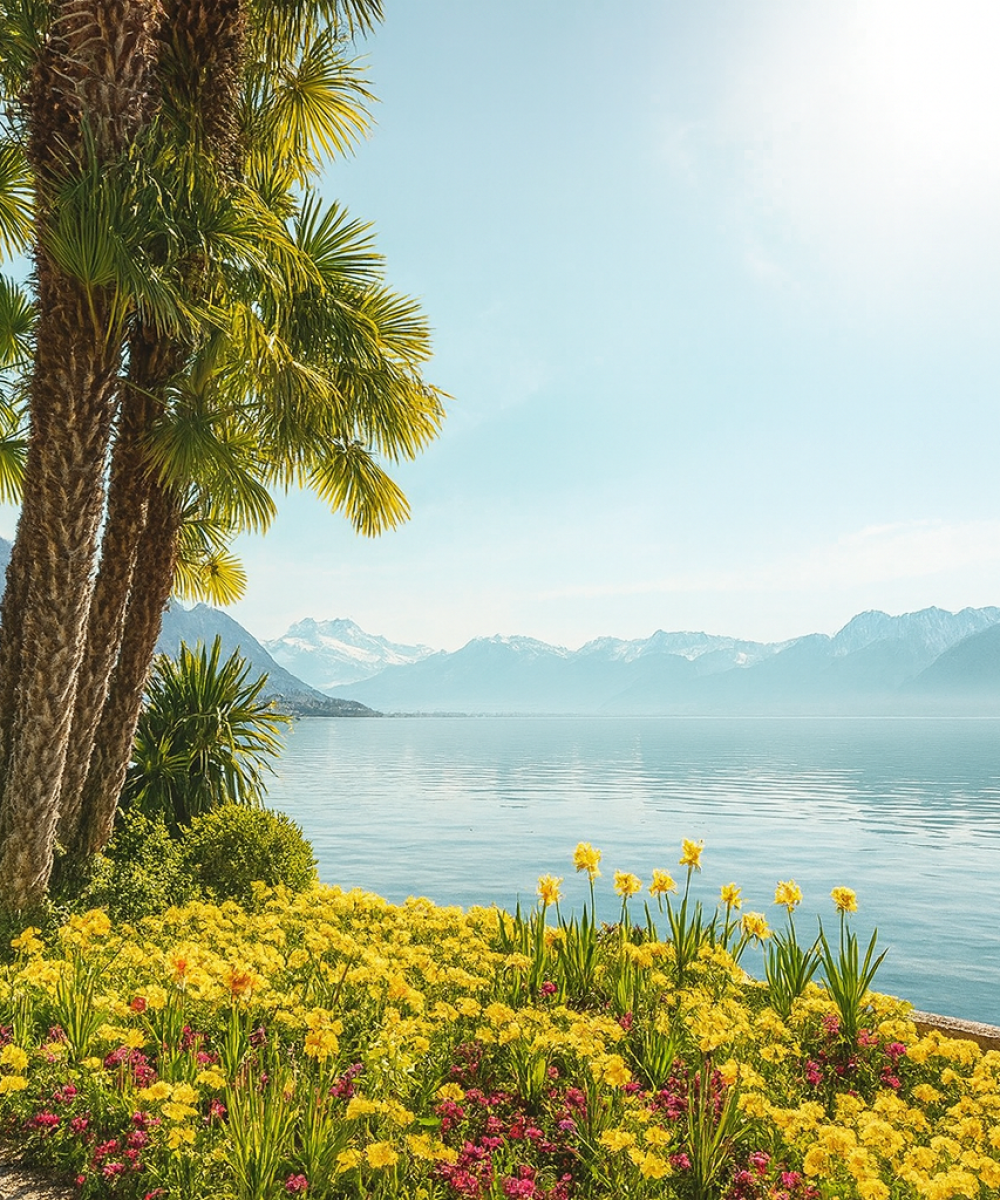 1AD34254-345B-4BD9-BAEA-514348765459