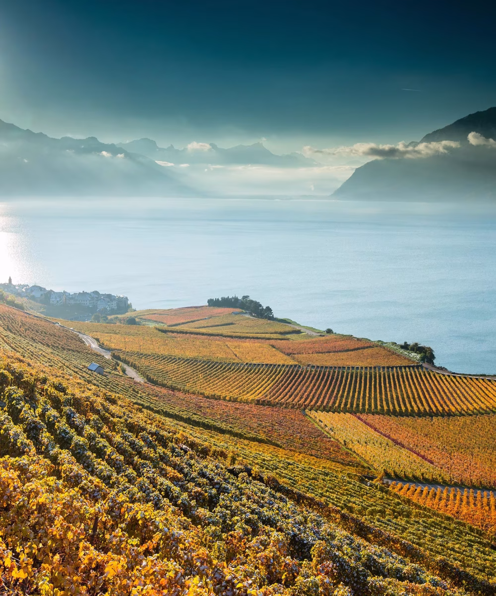 lavaux-generalgregoire-chappuis_57122.jpg